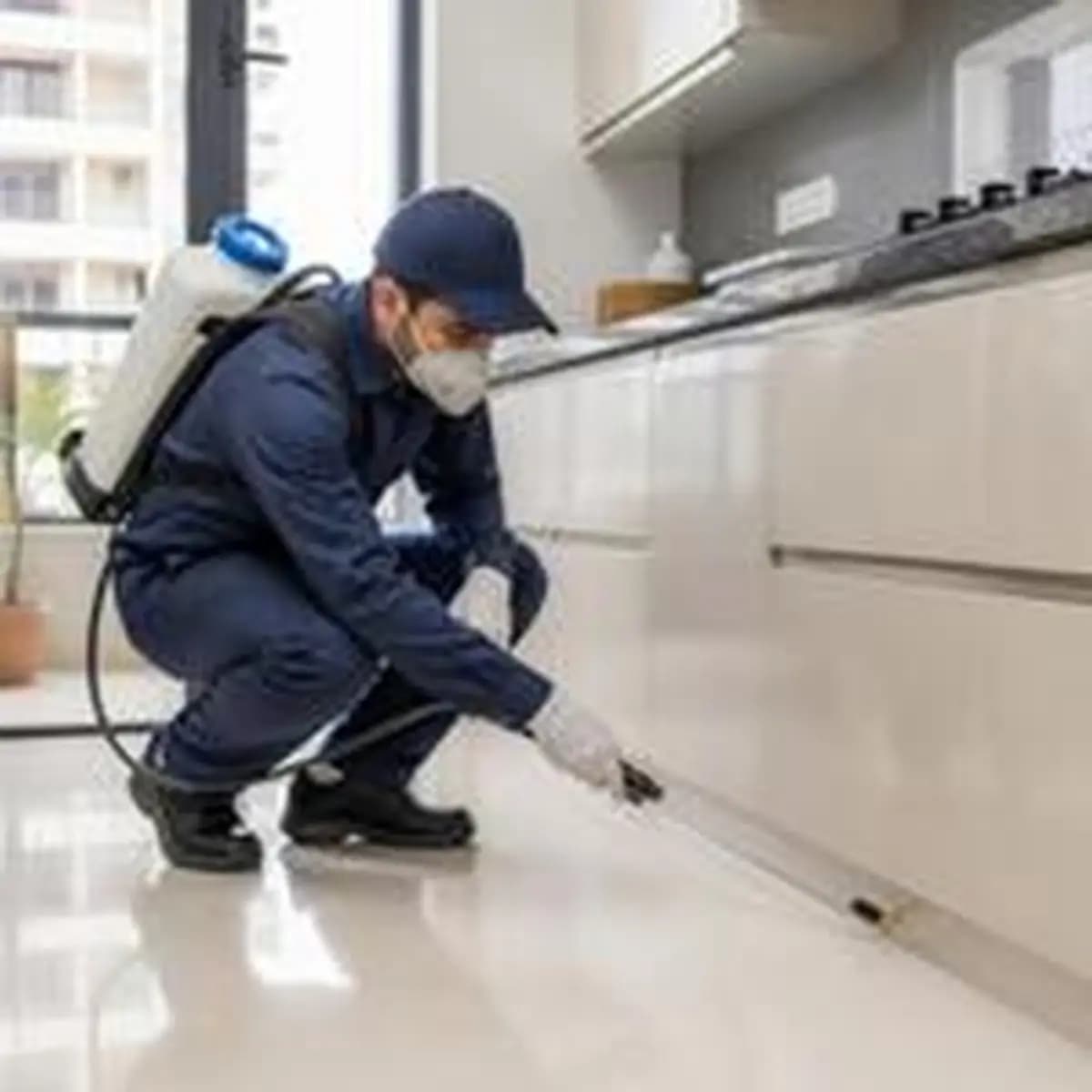 Pest Control